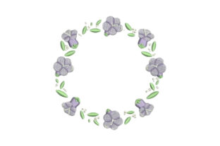 Jacaranda Frame Review for Small Business Use